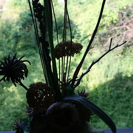 Апартаменты Family & Friends