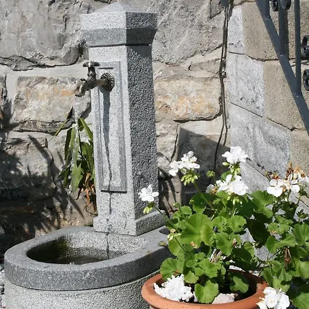 Family & Friends * فيرنغروده