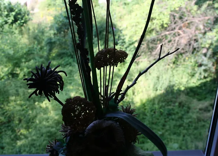 Апартаменты Family & Friends